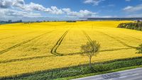 Blick auf den Bodden bei Bobbin