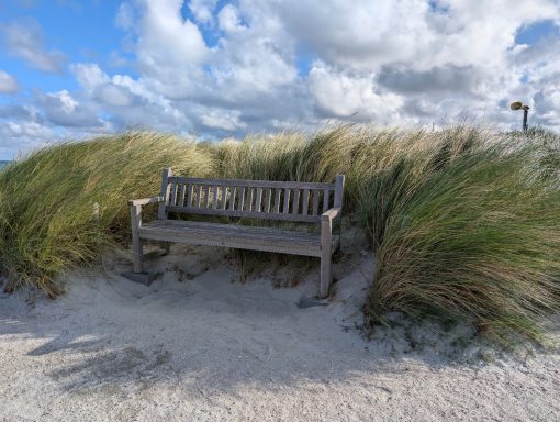 Lieblingsplatz im Dünengras Bank zwischen hohen Grasbüscheln am Strand unter bewölktem Himmel.