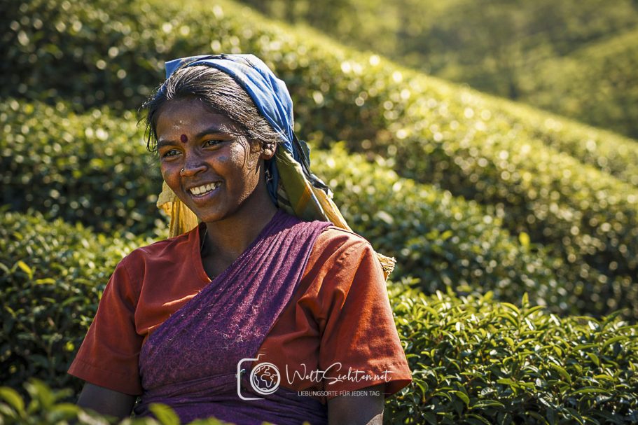 Lächelnde Teepflückerin auf einer Teeplantage in Sri Lanka