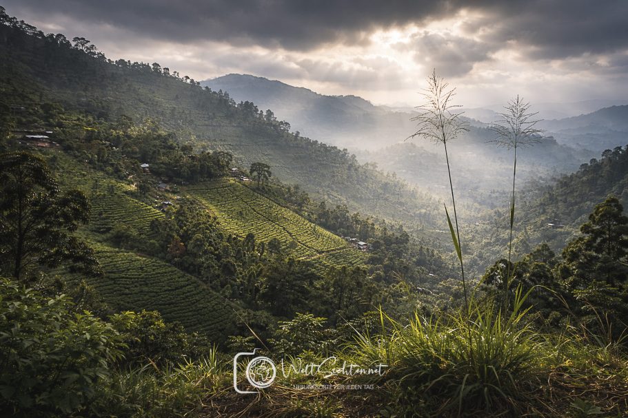 Dramatische Berglandschaft mit Teeplantagen im Hochland Sri Lankas