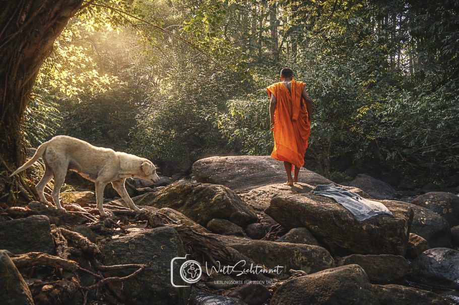 Buddhistischer Mönch in orangefarbener Robe in der Landschaft Sri Lankas