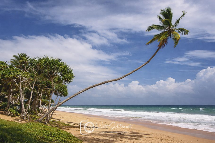 Tropischer Sandstrand mit Palmen und türkisblauem Meer