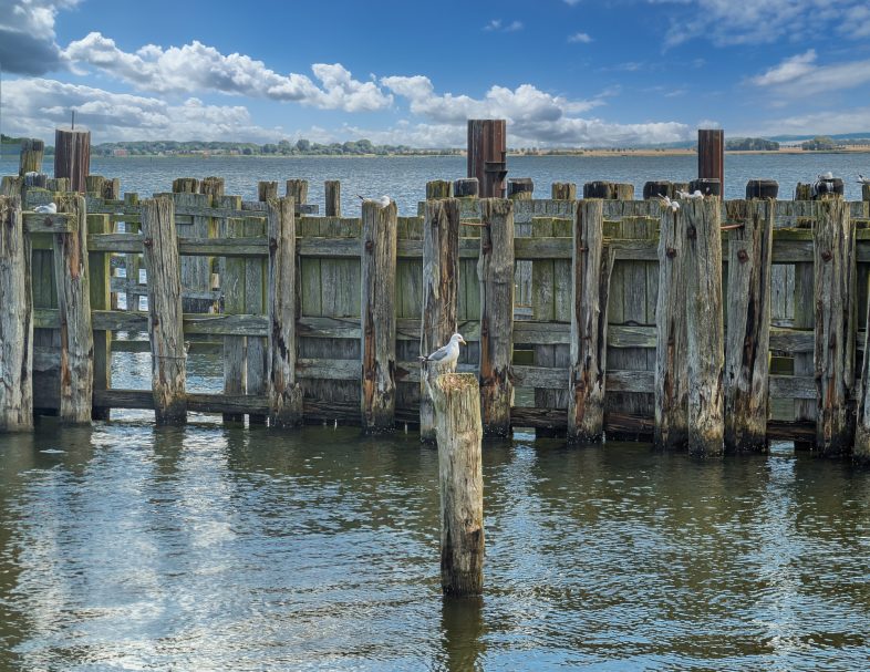 Maritime Idylle an der Wittower Fähre auf Rügen Alter Holzsteg im Wasser mit Wolken und sonnigem Himmel im Hintergrund.