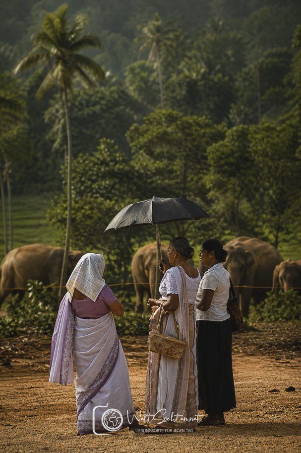 Damen mit Schirm in Pinnawela, Sri Lanka