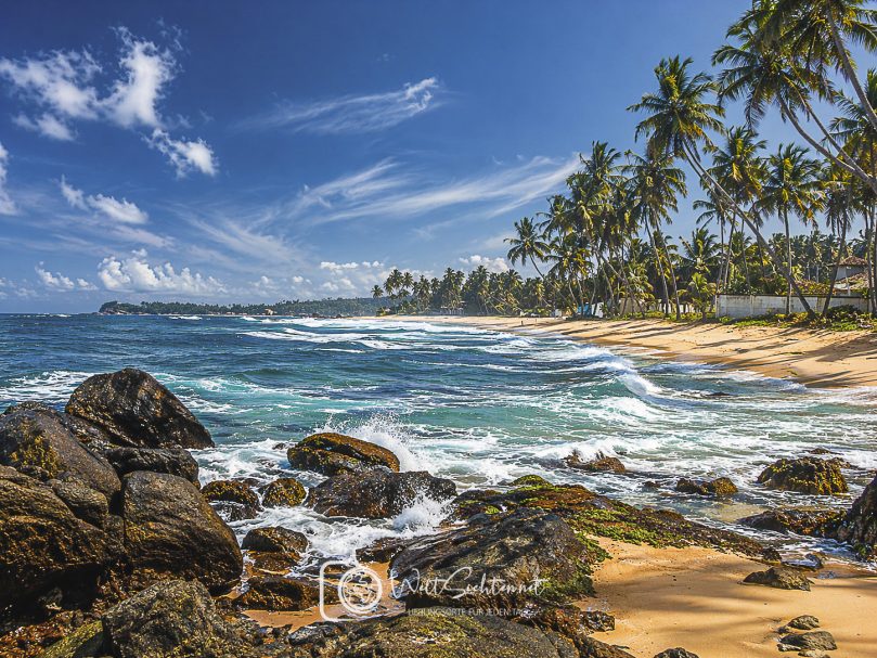 Türkisblaues Meer und tropische Palmen an der Küste Sri Lankas