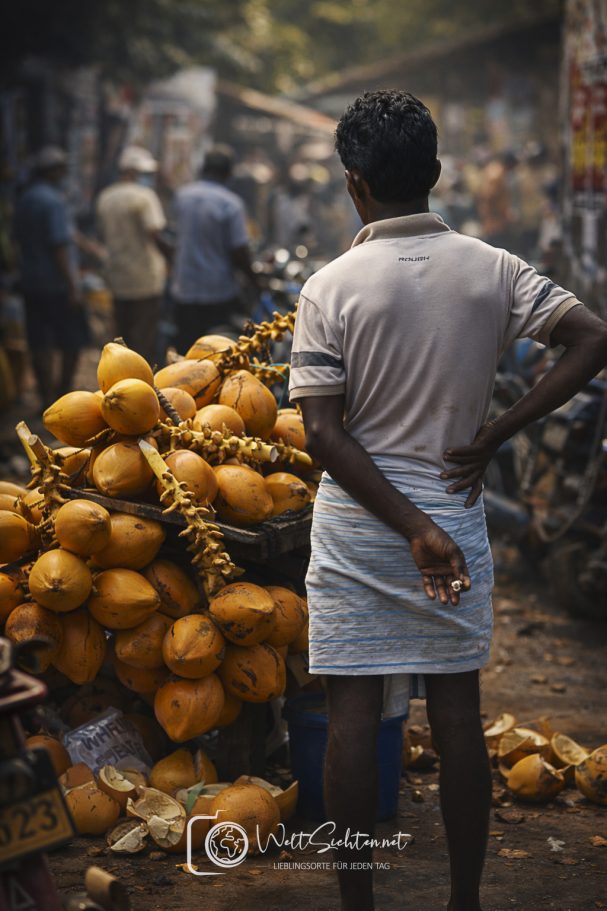 Markthändler mit frischen Kokosnüssen auf einem Markt in Sri Lanka
